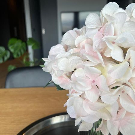 Tb Apartment อาคูเรย์รี ภายนอก รูปภาพ